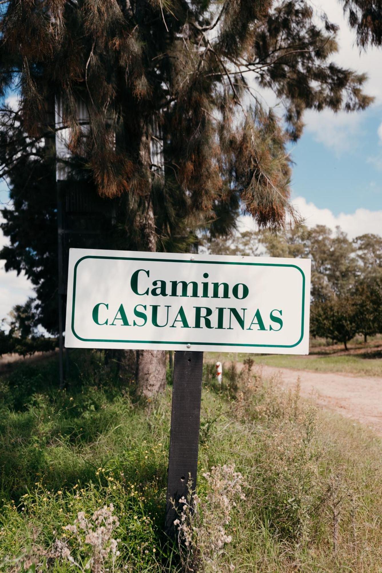 La Santina Posada & Experiencias De Campo San Pedro  Buitenkant foto